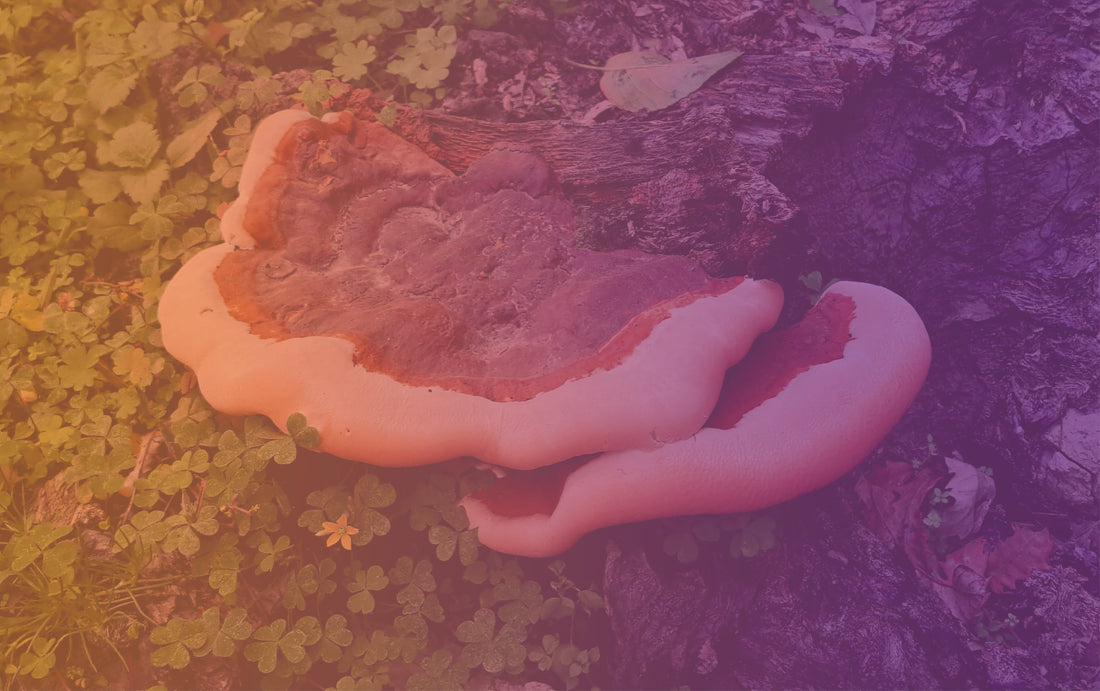 The Modern Burnout Guide: Why So Many of Us Feel Exhausted and Unable to Switch Off
